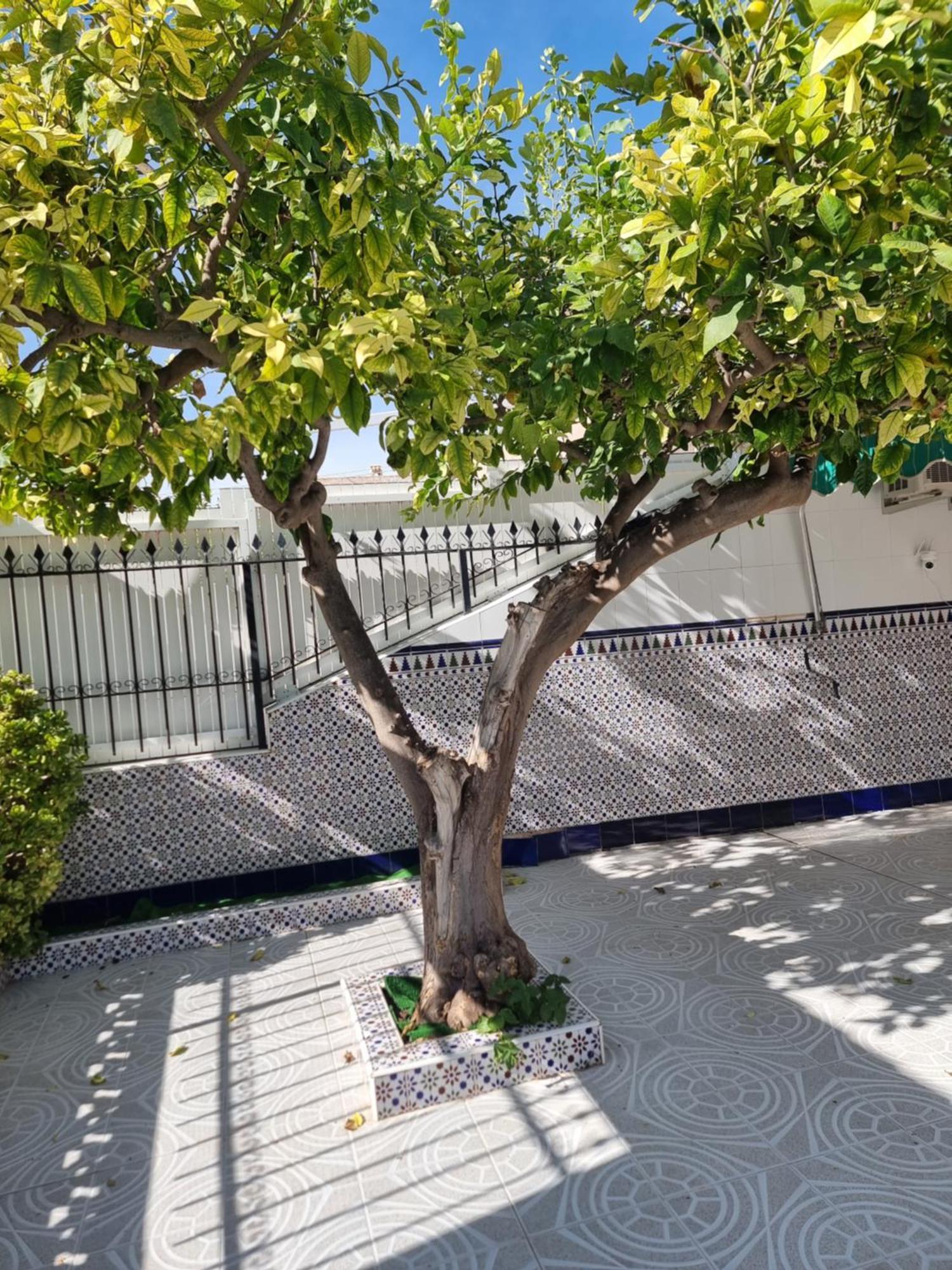 Casa Tranquila Cerca Del Mar Villa Santiago De La Ribera Luaran gambar